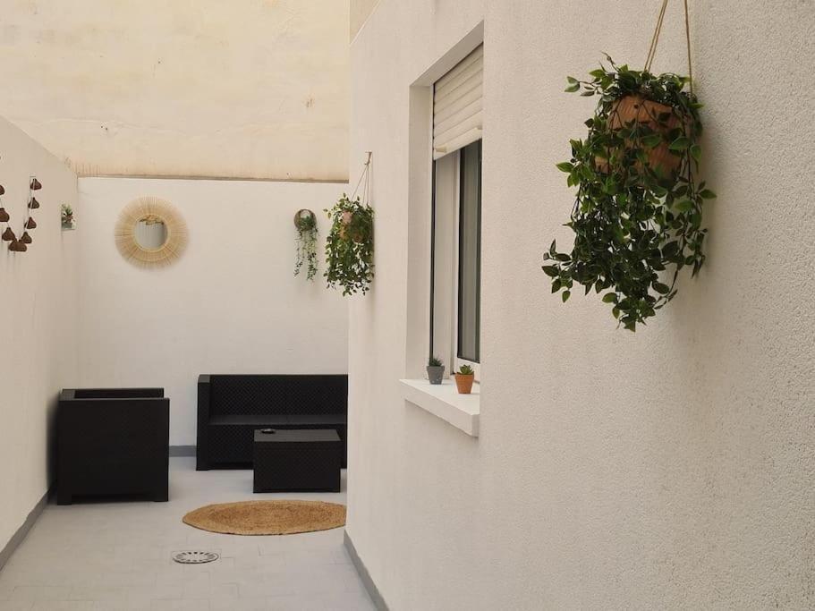 Beautiful Apartment With Patio Torrevieja Ngoại thất bức ảnh
