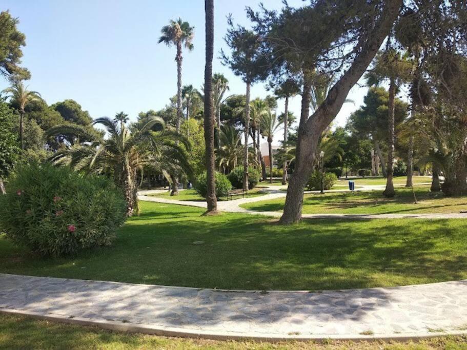 Beautiful Apartment With Patio Torrevieja Ngoại thất bức ảnh