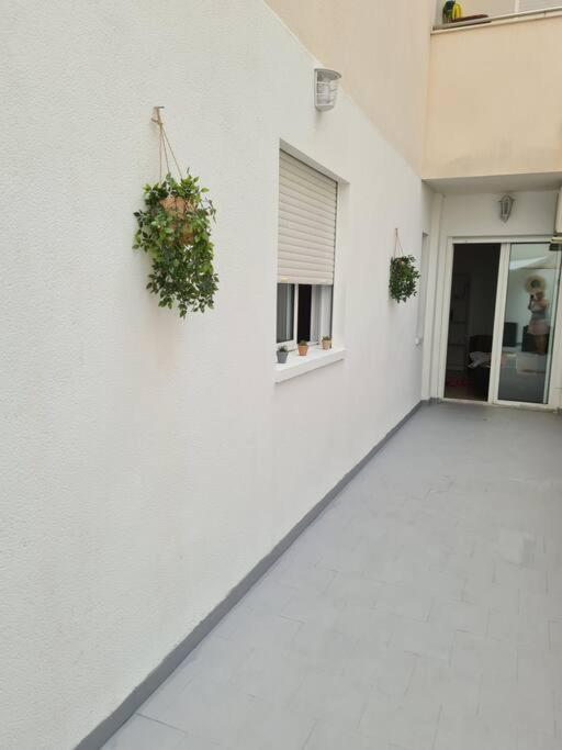Beautiful Apartment With Patio Torrevieja Ngoại thất bức ảnh